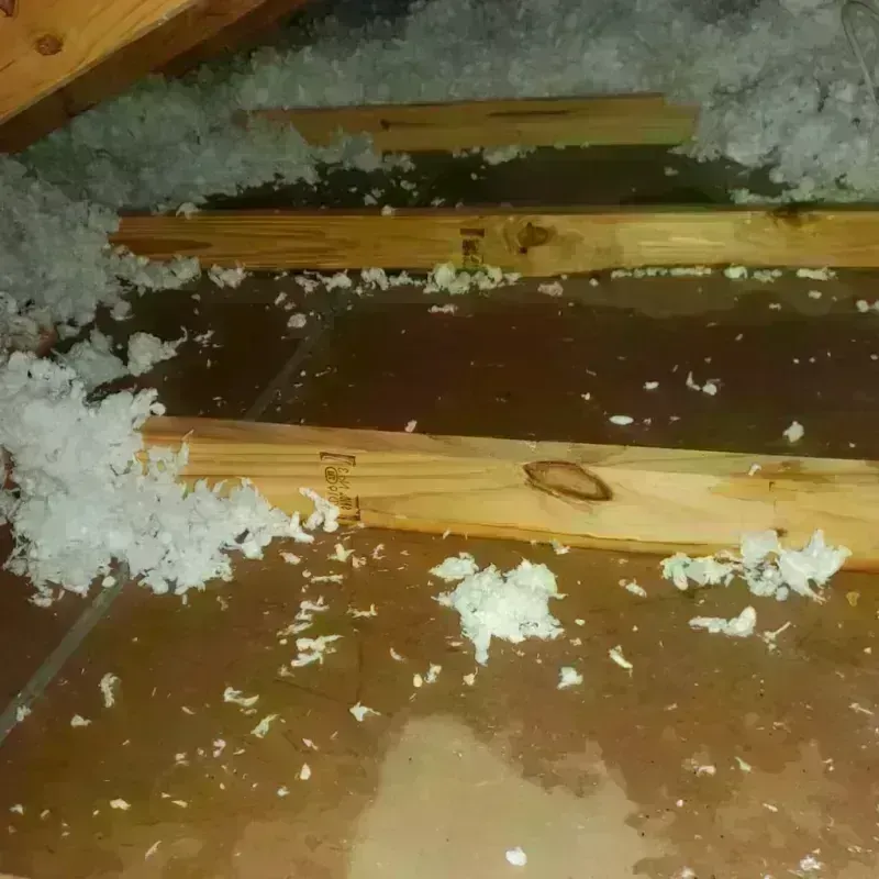 Attic Water Damage in Wayne County, NE