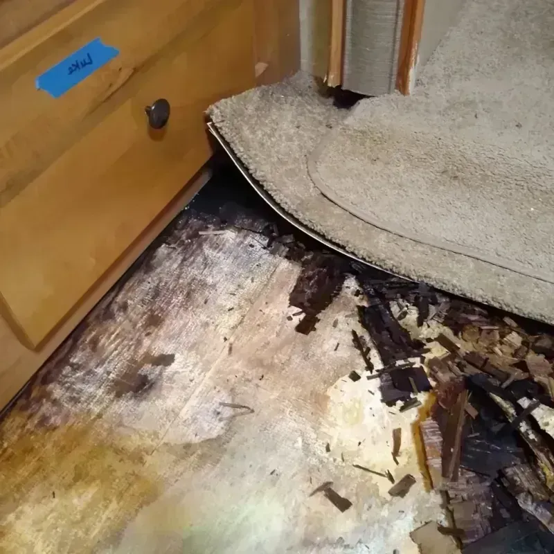 Wood Floor Water Damage in Wayne County, NE